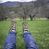 stowe vermont may 2016